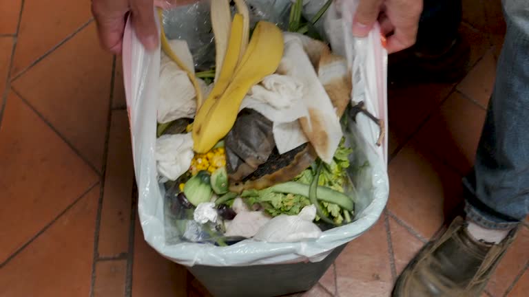 Best Hoarding Cleanup  in Conover, NC